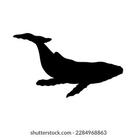 Vector isolated one single swimming floating whale colorless black and white outline silhouette shadow shape