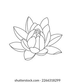 Vector isolated one single water lilly nenuphar flower blossom bud with petals colorless black and white contour line easy drawing