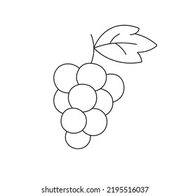 Vector isolated one small bunch of grapes with ine leaf colorless black and white contour line drawing