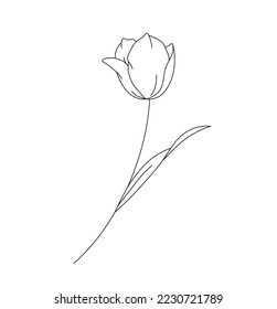 Vector isolated one small simple minimal tulip flower with leaf colorless black and white contour line easy drawing