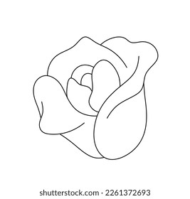 Vector isolated one small simple rose flower bud blossom colorless black and white contour line easy drawing