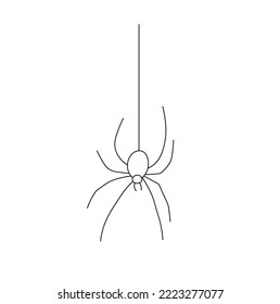 Vector isolated one spider hanging on a web colorless black and white contour line easy drawing