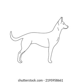 Vector isolated one standing big tall dog side view colorless black and white contour line drawing