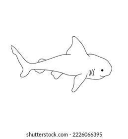 Vector isolated one swimming floating little shark colorless black and white contour line drawing 