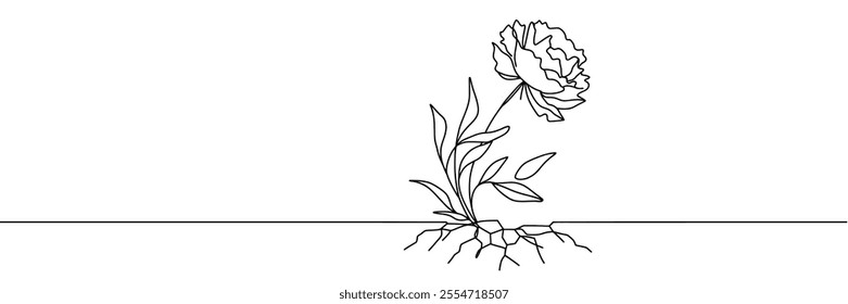 Vector isolated one vertical rose with long stem colorless black and white contour one single line easy drawing