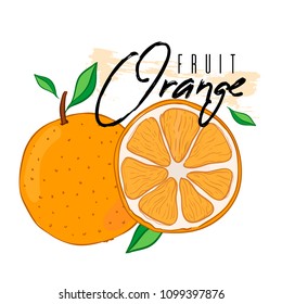 Vector isolated orange with a cut with text on a white background. Hand drawn illustration.