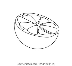 Vector aislado fruta naranja cortada en la mitad de una sola línea contemporánea incolora línea de contorno blanco y negro dibujo fácil