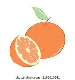 Vector isolated orange on white background. Ripe fruit. Colorful flat illustration for your creativity.