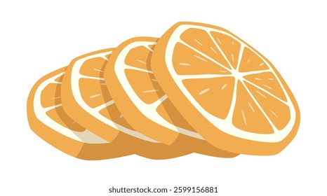 Vector isolated orange slices illustration