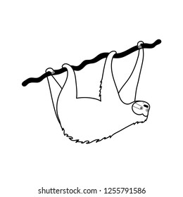 Vector isolated outline black illustration of cute character sloth. Cartoon baby climbing sloths. Hand drawn jungle animal hanging on a branch of tree. Drawing for print, fabric, poster etc. 