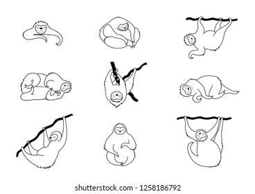 Vector isolated outline black set of cute character sloth illustration. Cartoon baby climbing sloths. Hand drawn jungle animal hanging on a branch of tree. Drawing for print, fabric, poster etc. 