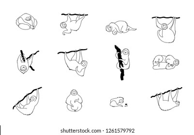 Vector isolated outline black set of cute character sloth illustration. Cartoon baby climbing sloths. Hand drawn jungle animal hanging on a branch of tree. Drawing for print, fabric, poster etc. 