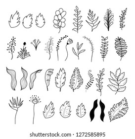 Vector isolated outline illustration of tropical exotic flowers and leaves collection. Set of cartoon hand drawn jungle leaf. Drawing for print, poster etc. 