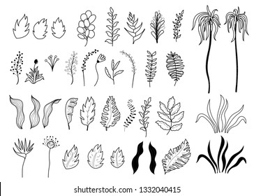 Vector isolated outline illustration of tropical exotic flowers and leaves collection. Set of cartoon hand drawn jungle leaf. Drawing for print, poster etc. 