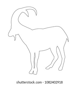 vector, isolated, outline mountain goat on white background