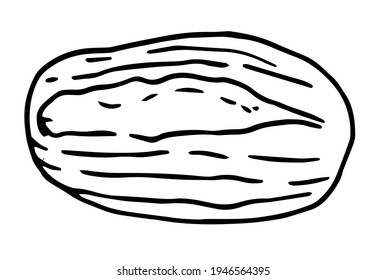 The vector isolated an oval-shaped element, top-view and hand-drawn in a doodle style with a black outline on a white background. stylized simple tortilla with textured lines and a single cut on top
