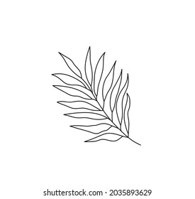 Vector isolated palm tree branch graphic drawing. Contour black line palm branch pattern, tattoo, graphci art.