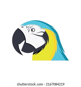 Vector isolated parrot head with blue, yellow and black feathers on a white background.