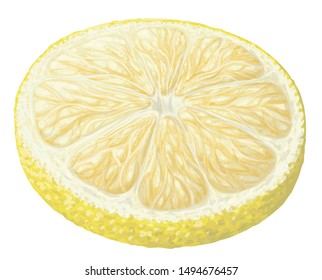 Vector isolated pattern object, hand-drawn harvest juicy, delicious rich wet yellow lemon piece, with highlights, beautiful peel of lemon. Realistic, like paint. Ripe, juicy, tasty lemon as ingredient