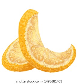 Vector isolated pattern object, hand-drawn harvest juicy, delicious rich wet shine orange piece, with highlights, beautiful peel of orange. Realistic, like paint. Ripe, juicy, tasty orange, ingredient