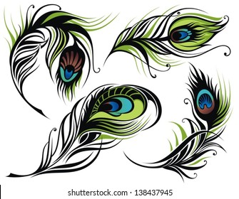 Vector isolated peacock feathers