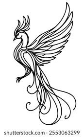 Vector aislado Phoenix pájaro línea de dibujo de arte. Pájaro fénix volador blanco y negro incoloro con alas extendidas y tatuaje gráfico de cola larga, diseño de impresión de tela, grabado láser