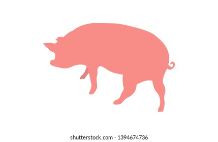 Vector isolated pig illustration. Domestic animal flat illustration