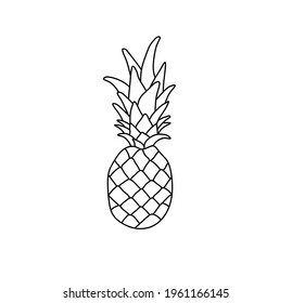 Vector isolated pineapple line drawing. Colorless contour doodle sketch pineapple. 