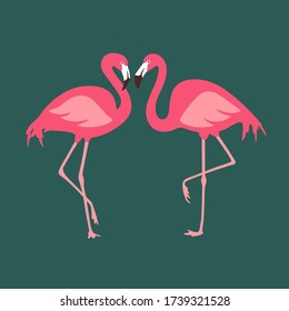 Vector isolated pink flamingos pair. Hand Drawn illustration