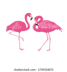 Vector isolated pink flamingos pair. Hand Drawn illustration