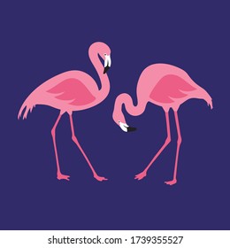 Vector isolated pink flamingos pair. Hand Drawn illustration