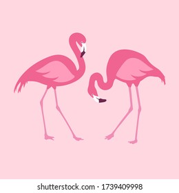 Pareja de flamencos rosados aislados por vectores. Ilustración Hand Drawn