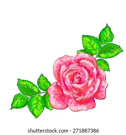 Vector isolated pink rose with green leaves on a white background