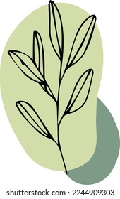 Ilustración vegetal aislada de vectores, dibujo de línea floral de bloques de color verde