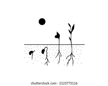 Vector isolated plant sprout life cycles colorless black and white graphic drawing
