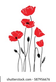 vector isolated poppies