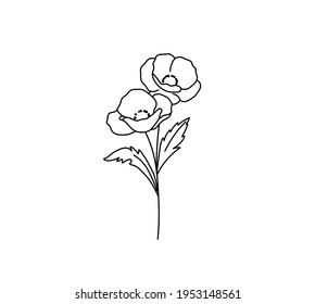 Vector isolated poppy flower line drawing. Colorless black and white simple poppy flower outline sketch.