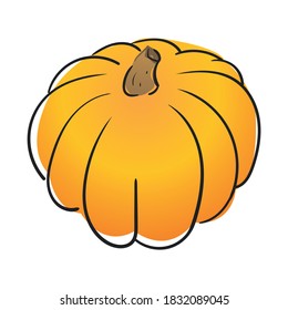 vector isolated pumpkin. illustration of pumpkin for an autumn design. Halloween holiday.