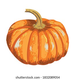 calabaza aislada vectorial. ilustración de calabaza para un diseño otoñal. Fiesta de Halloween.