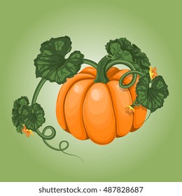 Vector Isolated Pumpkin With Leaves And Flowers
