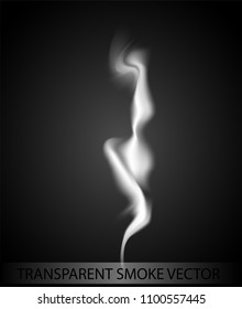 Vector isolated realistic cigarette smoke waves.
