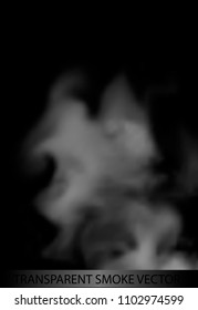 Vector isolated realistic cigarette smoke waves.