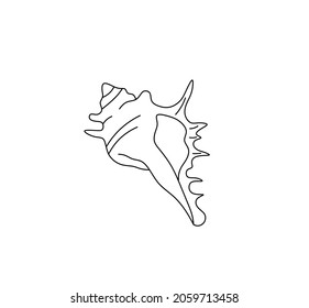 Vector isolated realistic sea shell contour line drawing. Colorless black and white outline sketch. Long elongated triangular sea snail shell