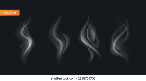 Vector isolated realistic smoke waves. transparent background vector illustration