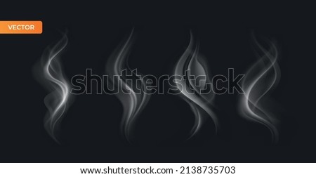 Vector isolated realistic smoke waves. transparent background vector illustration