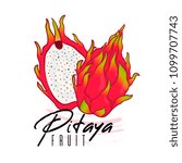 Vector isolated red pitaya with a cut with text on a white background. Hand drawn illustration.