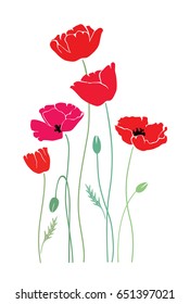 vector isolated red poppies silhouette