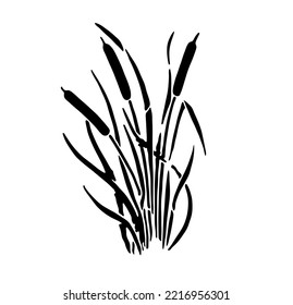 Vector isolated reeds stencil grass bulrush cattail plant colorless black and white outline silhouette shadow shape 