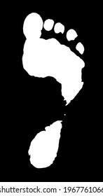 Vector isolated right leg white print silhouette on black background. Illustration of a naked human leg. Human Footprint Silhouette for Design Template. Illustration of a naked human leg