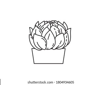 Vector isolated room house plant succulent mountain rose drawing. Colorless contour simple house plant outline sketch.